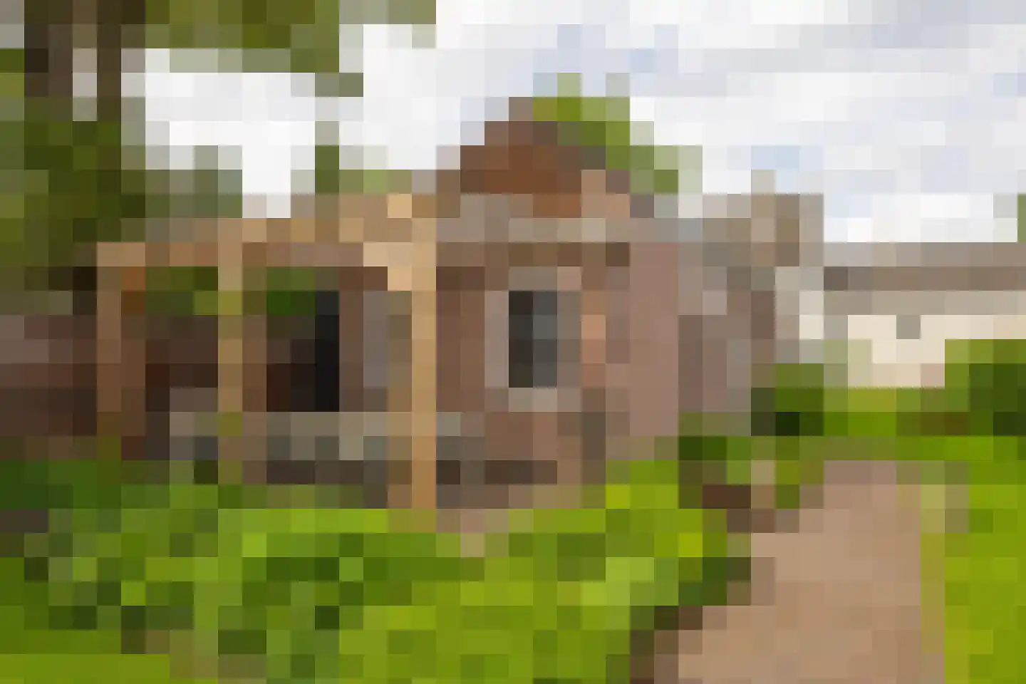 Taalstraat 90 Vught thumbnail 37