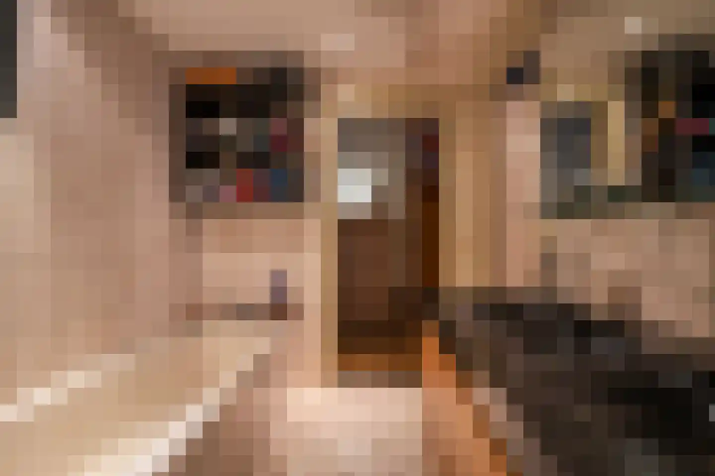 Taan-Del 16 Eys thumbnail 15