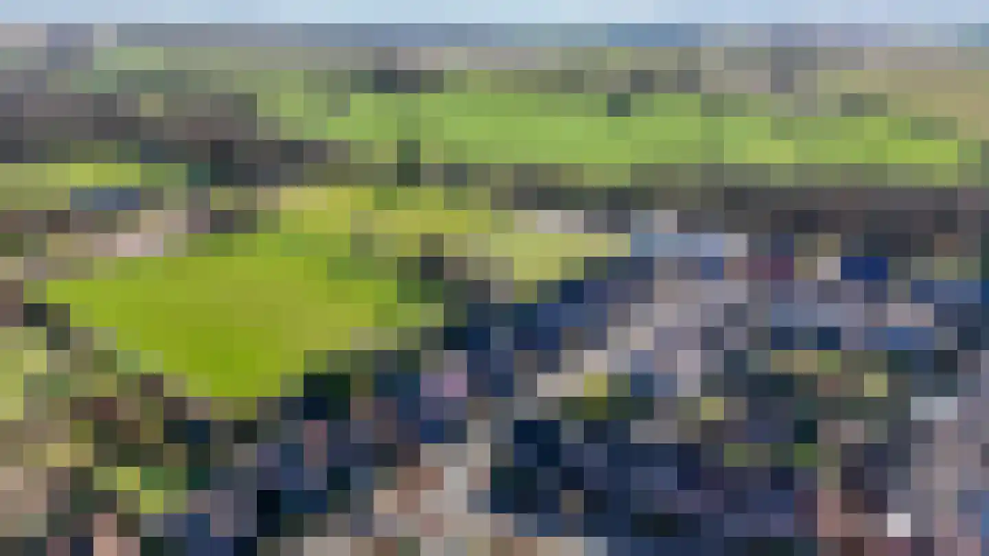 Taan-Del 16 Eys thumbnail 34
