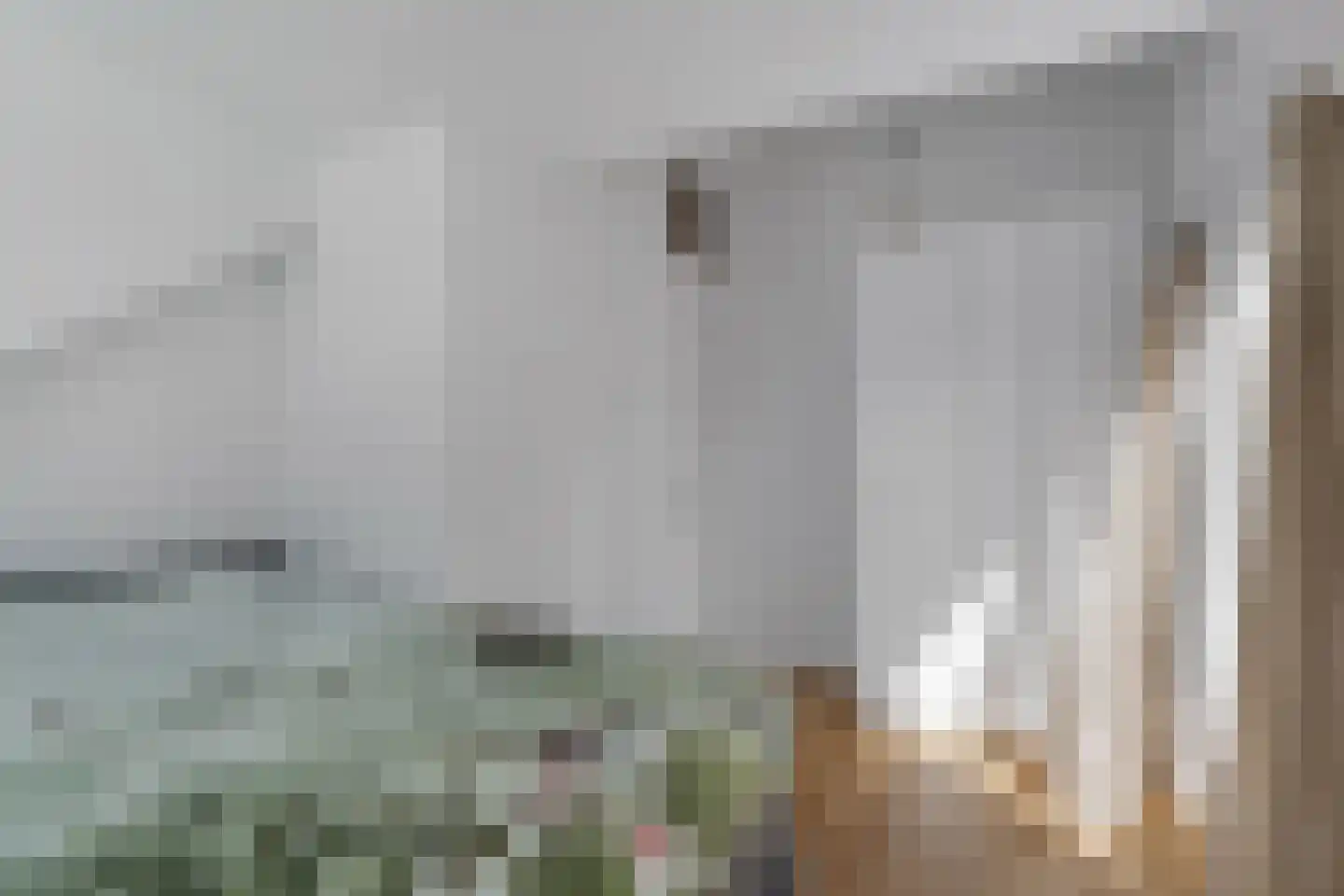 Taandersstraat 6 Huizen thumbnail 21