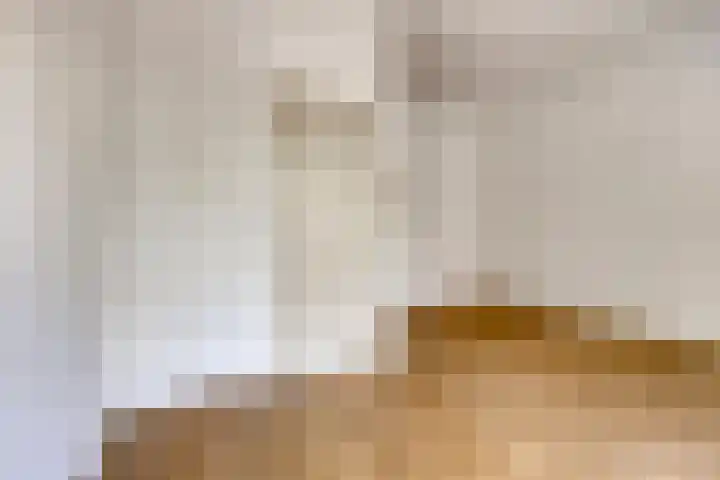 Taandersstraat 8 A Rotterdam thumbnail 25