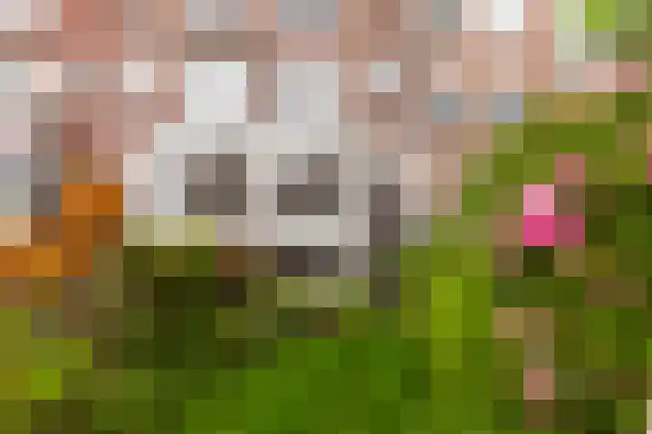 Taandersstraat 8 A Rotterdam thumbnail 32