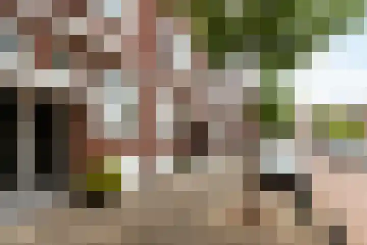 Taandersstraat 8 A Rotterdam thumbnail 4