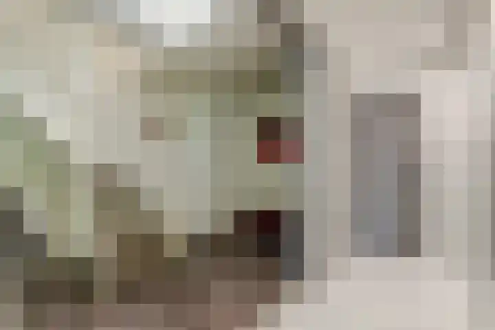 Taankade 28 Dordrecht thumbnail 11