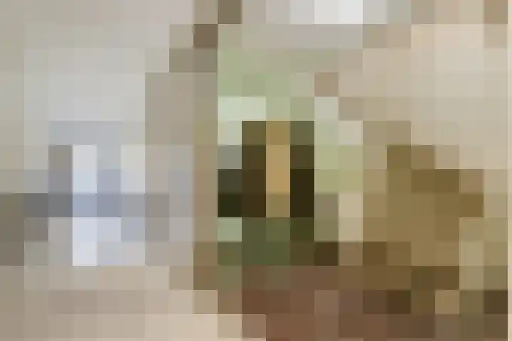 Taankade 28 Dordrecht thumbnail 12