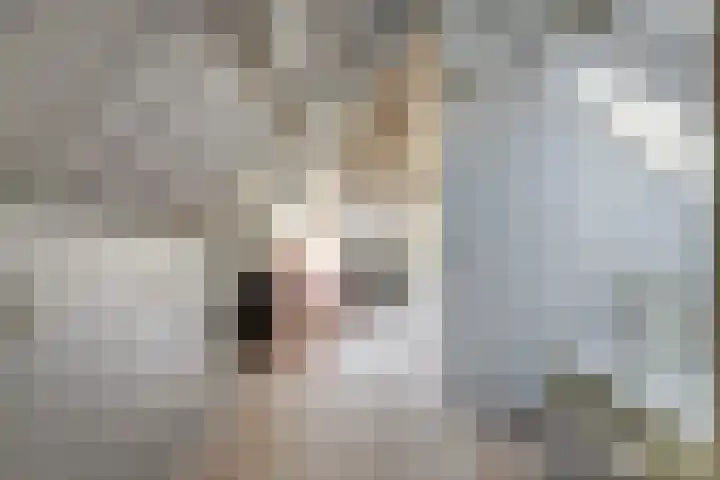 Taankade 28 Dordrecht thumbnail 26