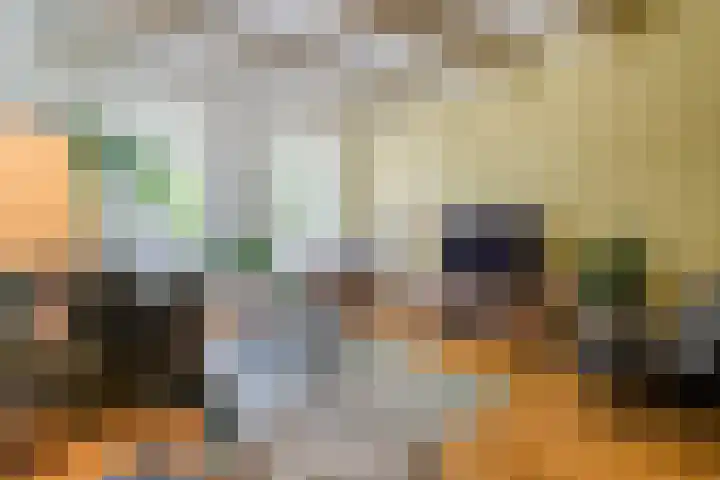 Taankade 28 Dordrecht thumbnail 49