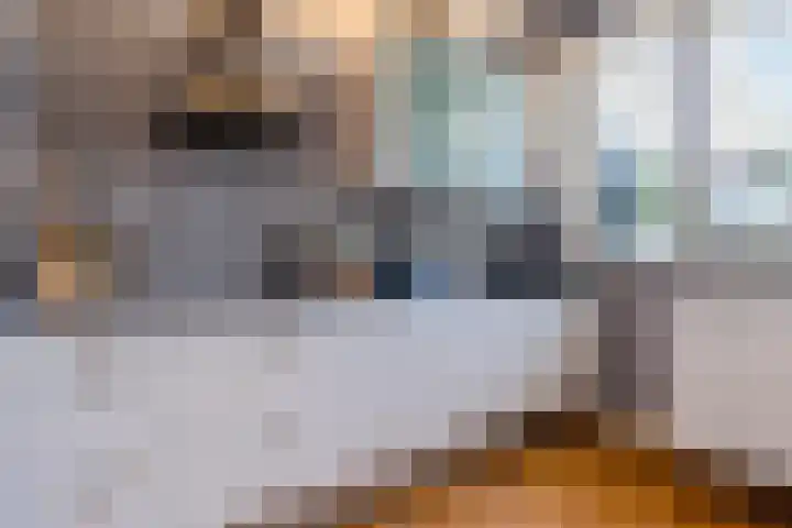 Taankade 28 Dordrecht thumbnail 58