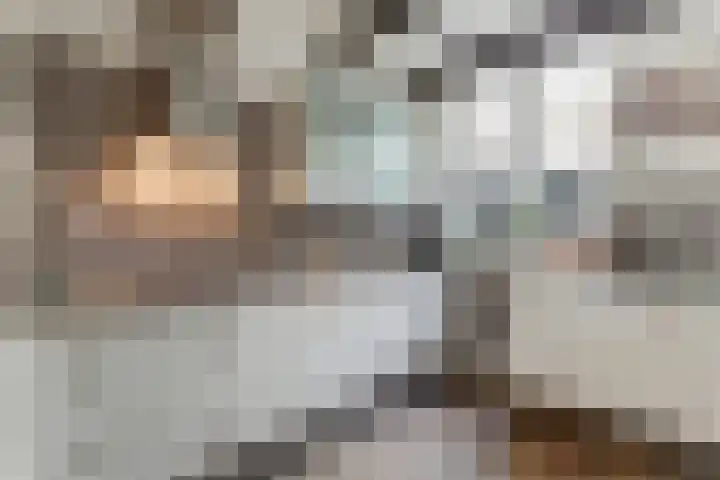 Taankade 28 Dordrecht thumbnail 6