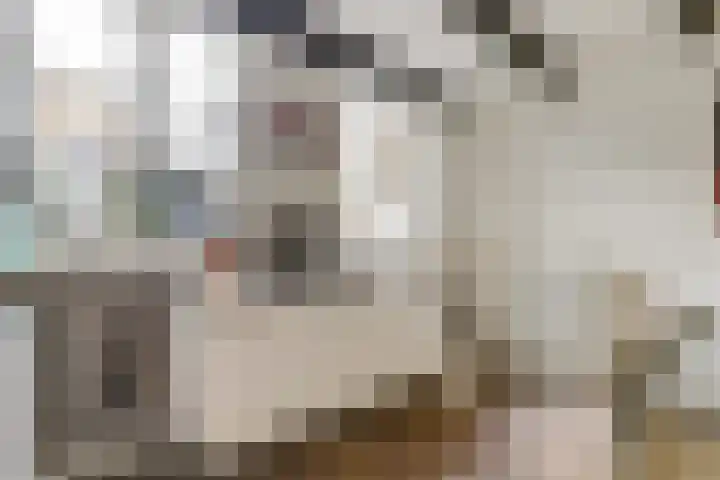 Taankade 28 Dordrecht thumbnail 7