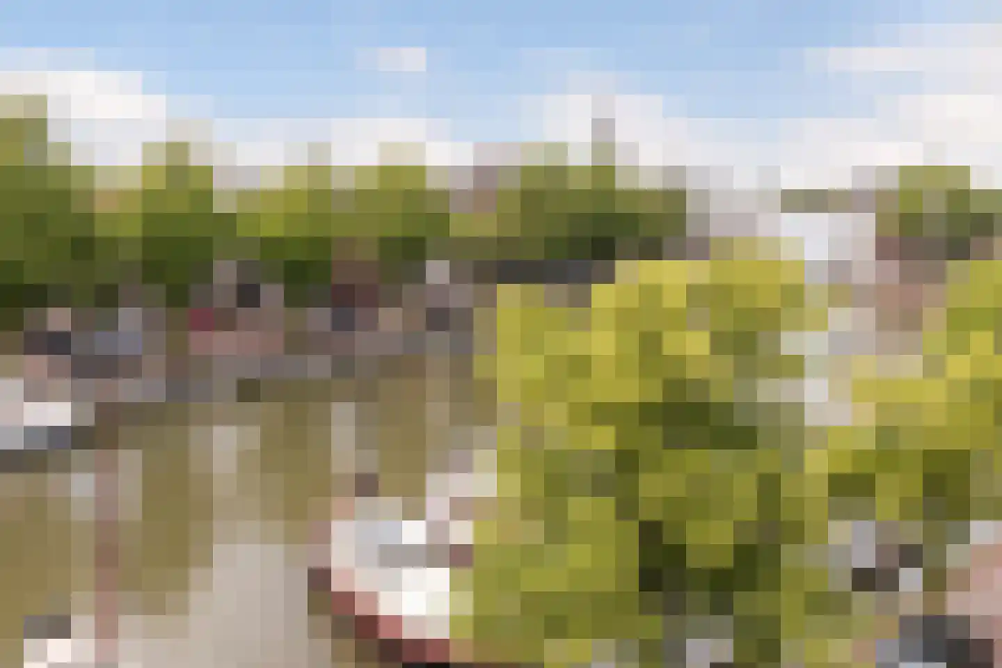 Taankade 88 Dordrecht thumbnail 26