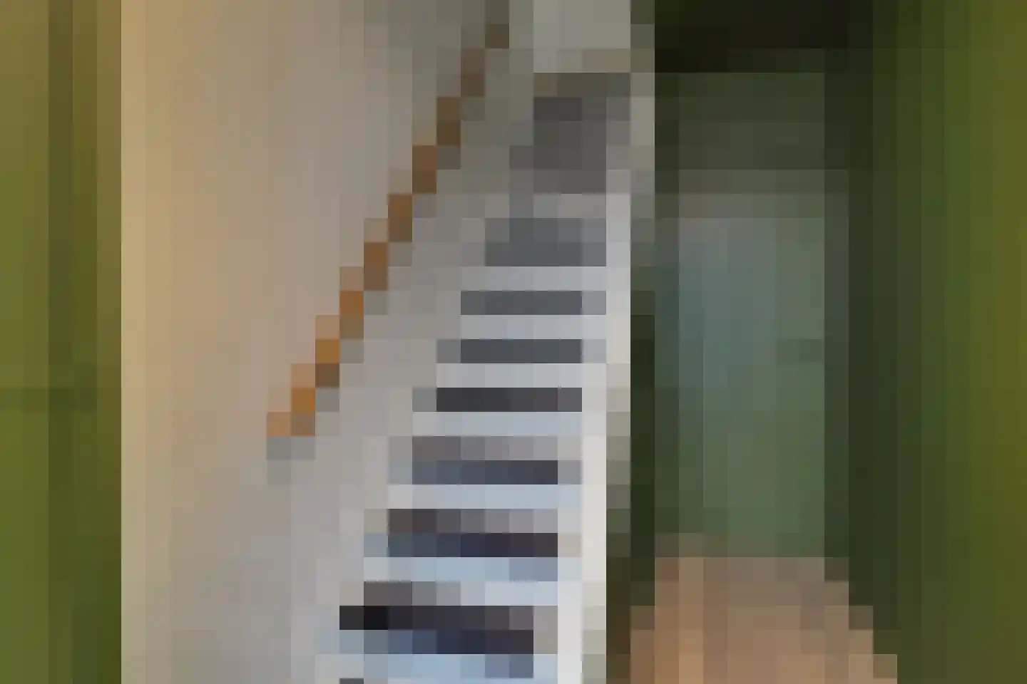 Taanmanstraat 9 Zaandam thumbnail 23