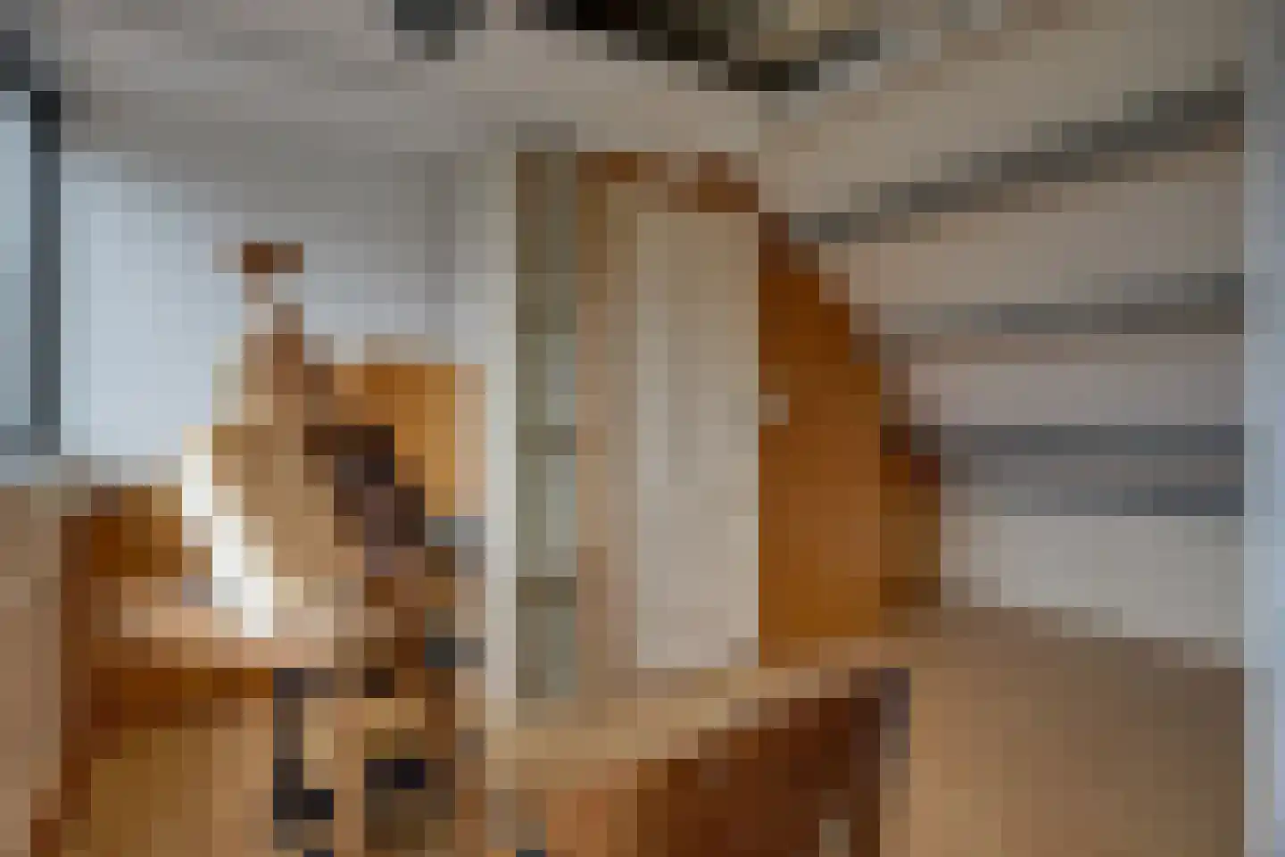 Taanmanstraat 9 Zaandam thumbnail 43