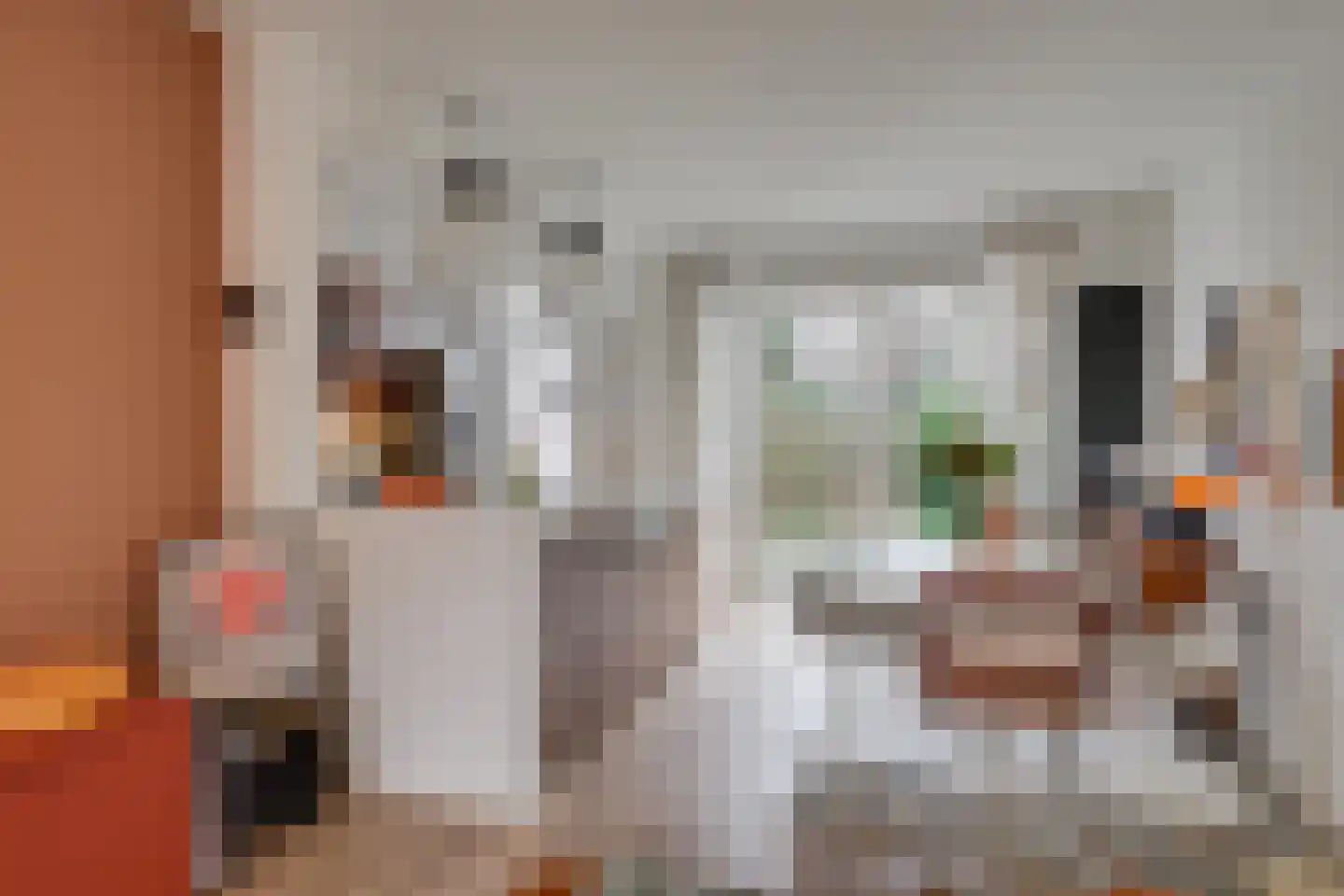 Taanmanstraat 9 Zaandam thumbnail 7