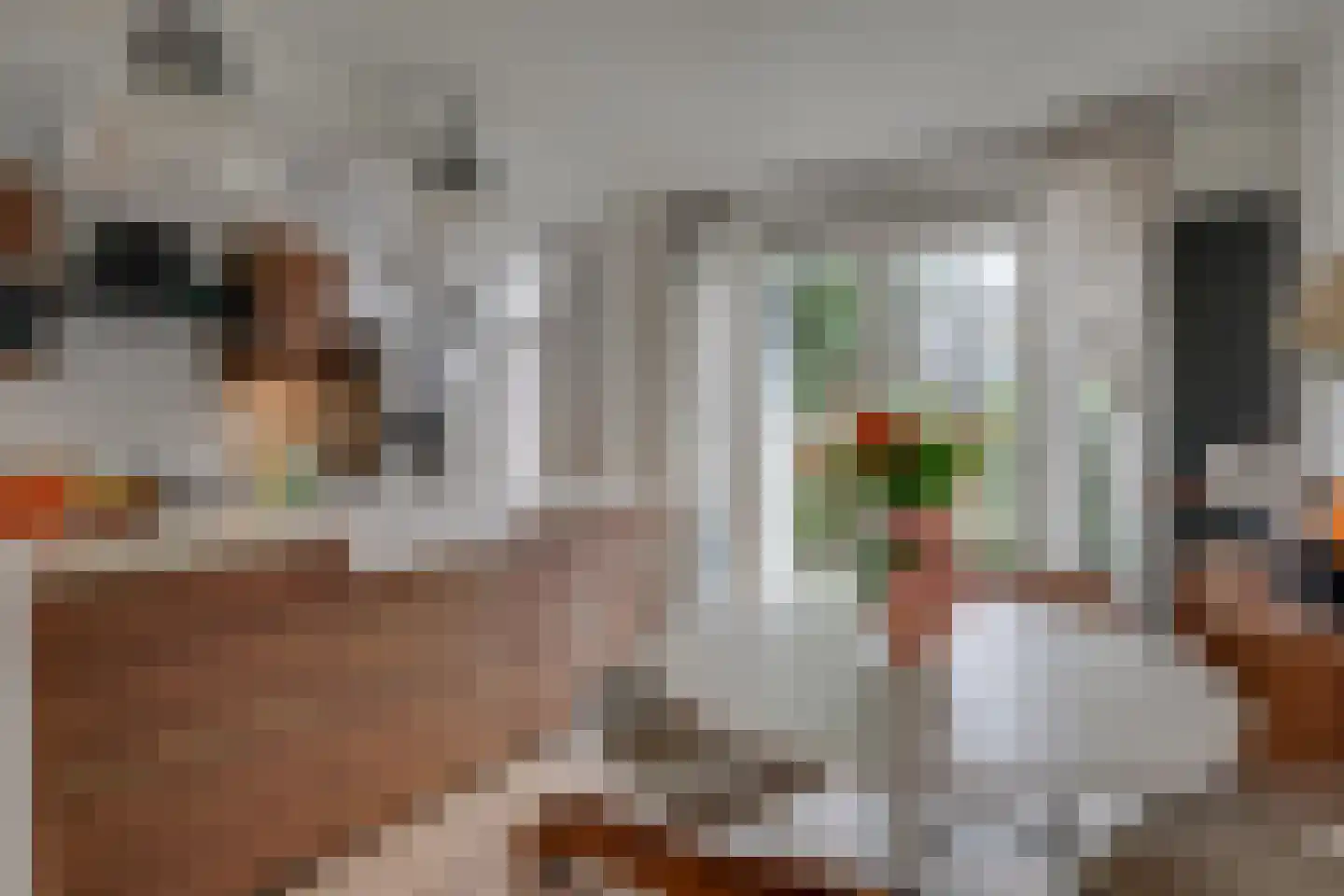 Taanmanstraat 9 Zaandam thumbnail 9