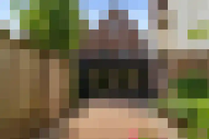 Taanplaats 16 Spaarndam gem. Haarlem thumbnail 10