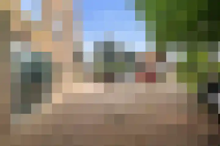 Taanplaats 16 Spaarndam gem. Haarlem thumbnail 41