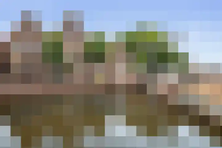 Taanplaats 16 Spaarndam gem. Haarlem thumbnail 50