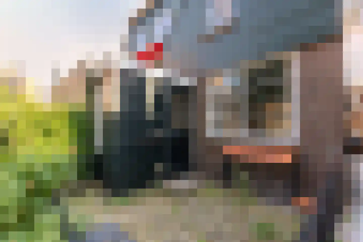 Taanplaats 8 Spaarndam gem. Haarlem thumbnail 5