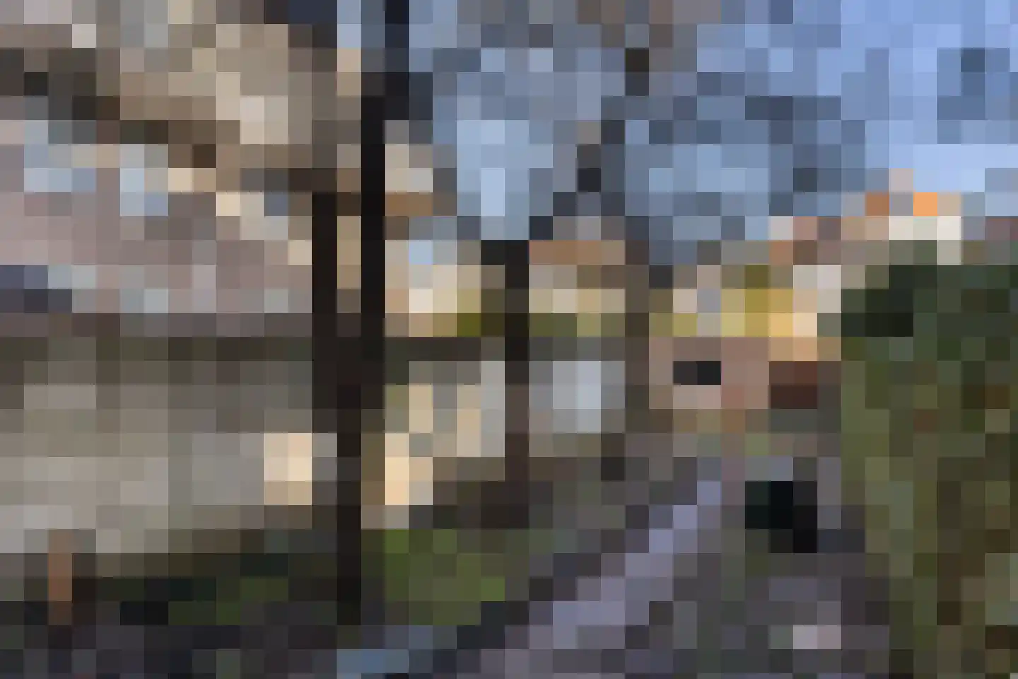 Taanstraat 19 Maassluis thumbnail 21