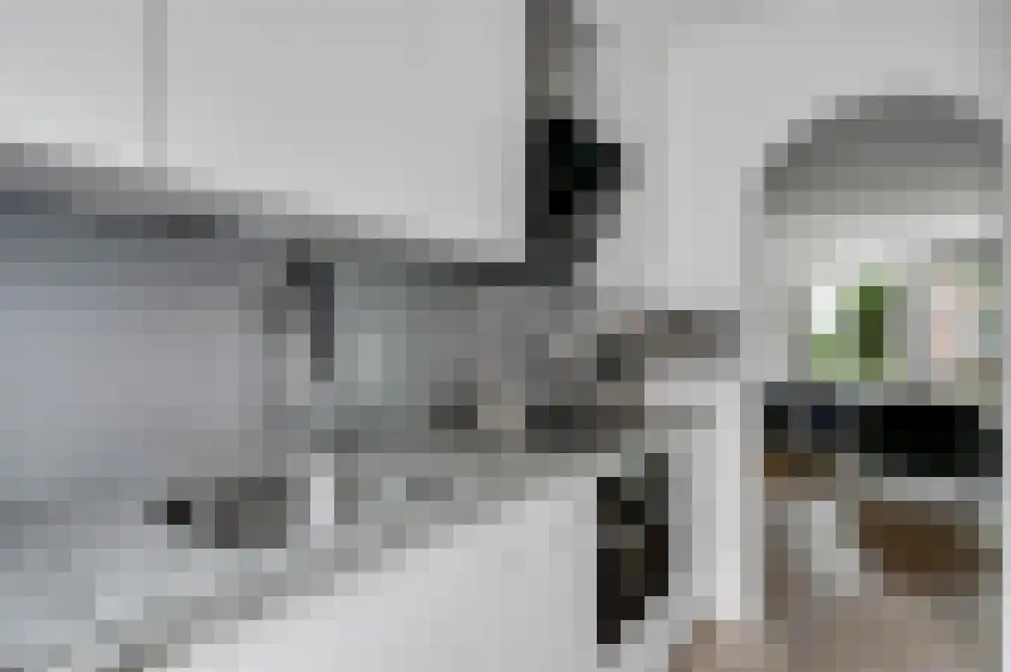 Taanstraat 26 Maassluis thumbnail 11