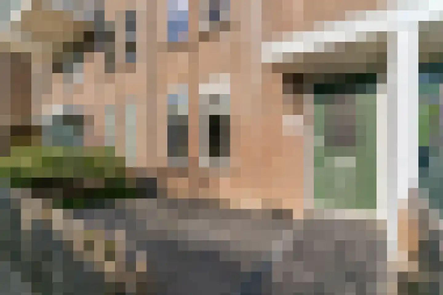 Taanstraat 45 Maassluis thumbnail 5
