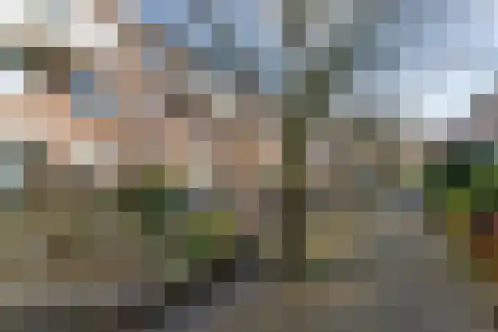 Taanstraat 45 Maassluis thumbnail 6