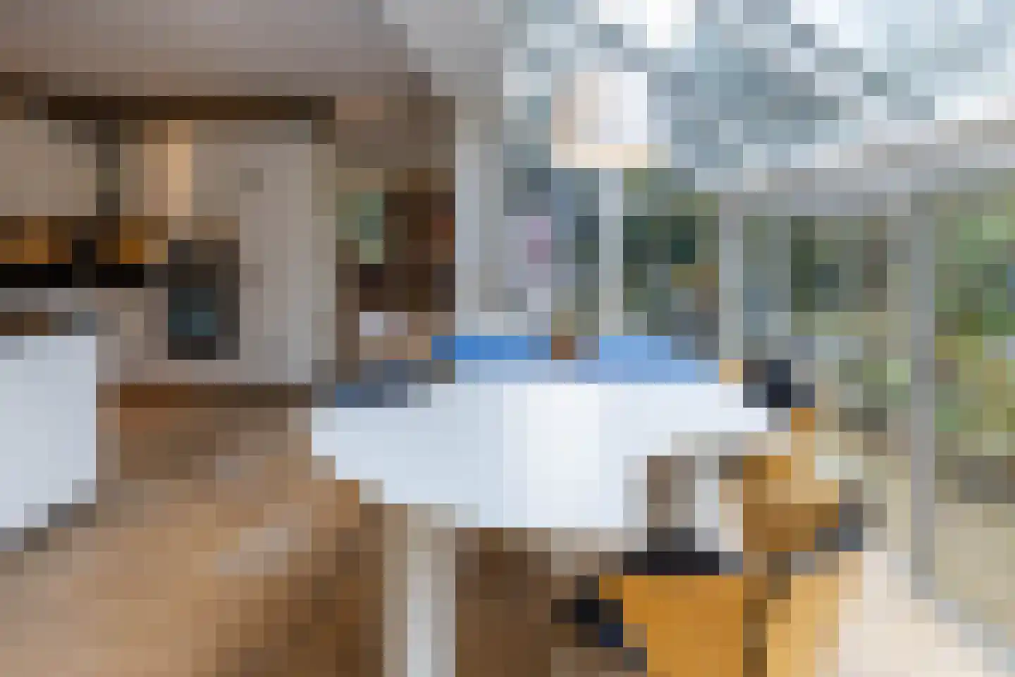 Taarloseweg 2 Vries thumbnail 17