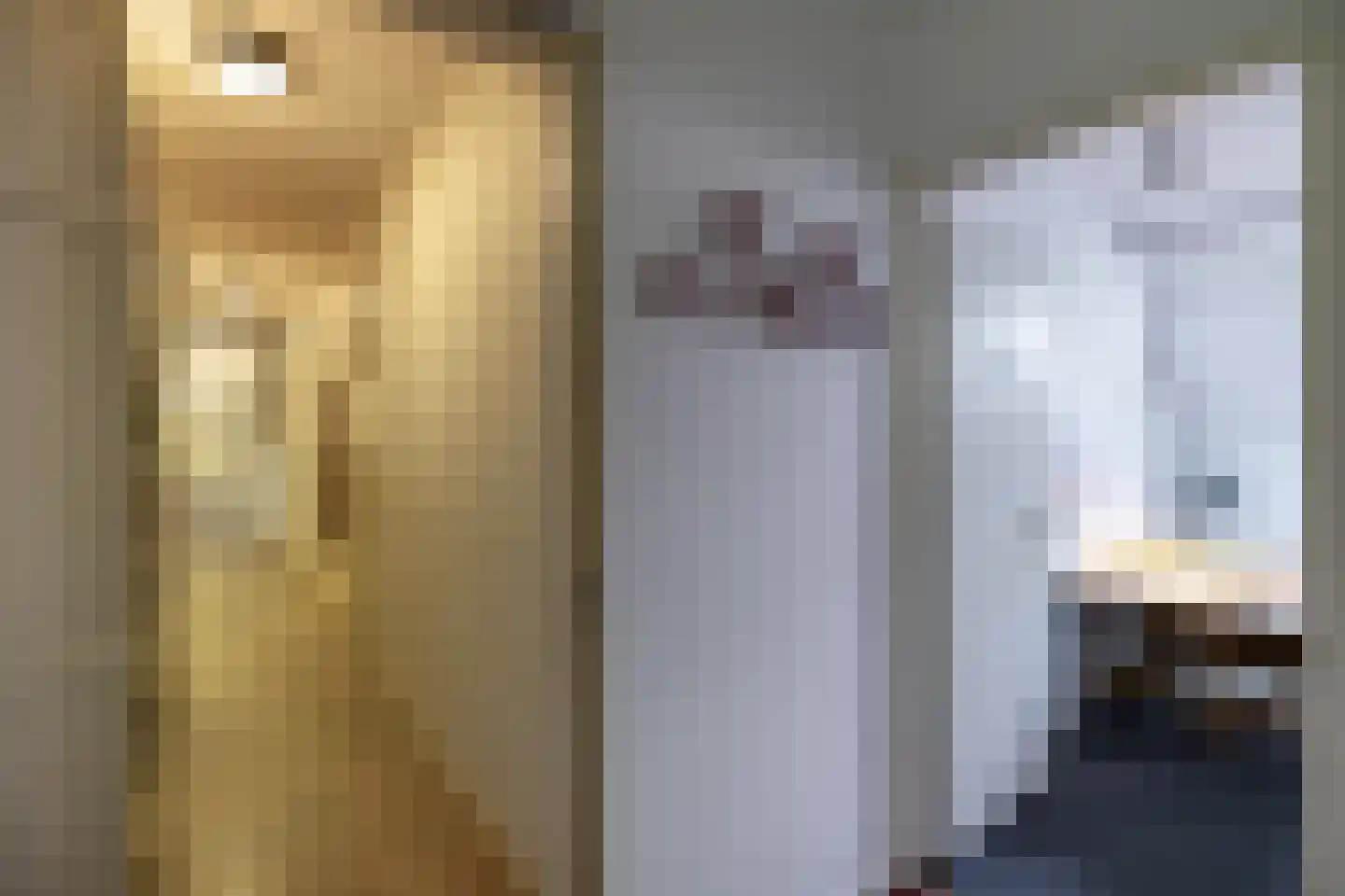 Taarloseweg 2 Vries thumbnail 26