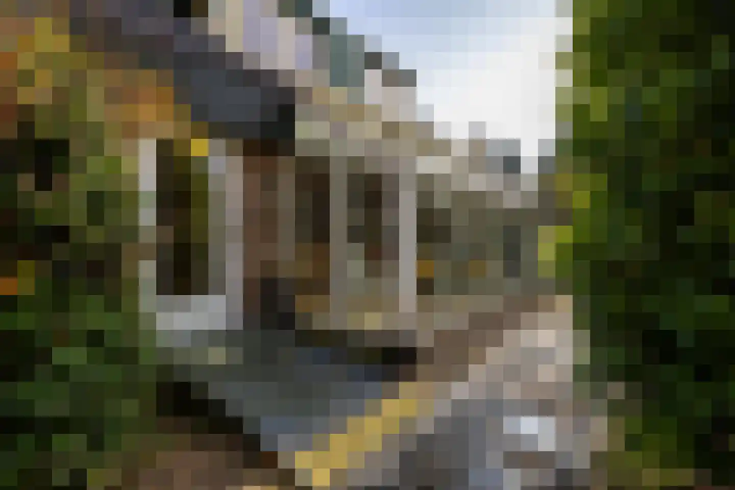 Taarloseweg 2 Vries thumbnail 34