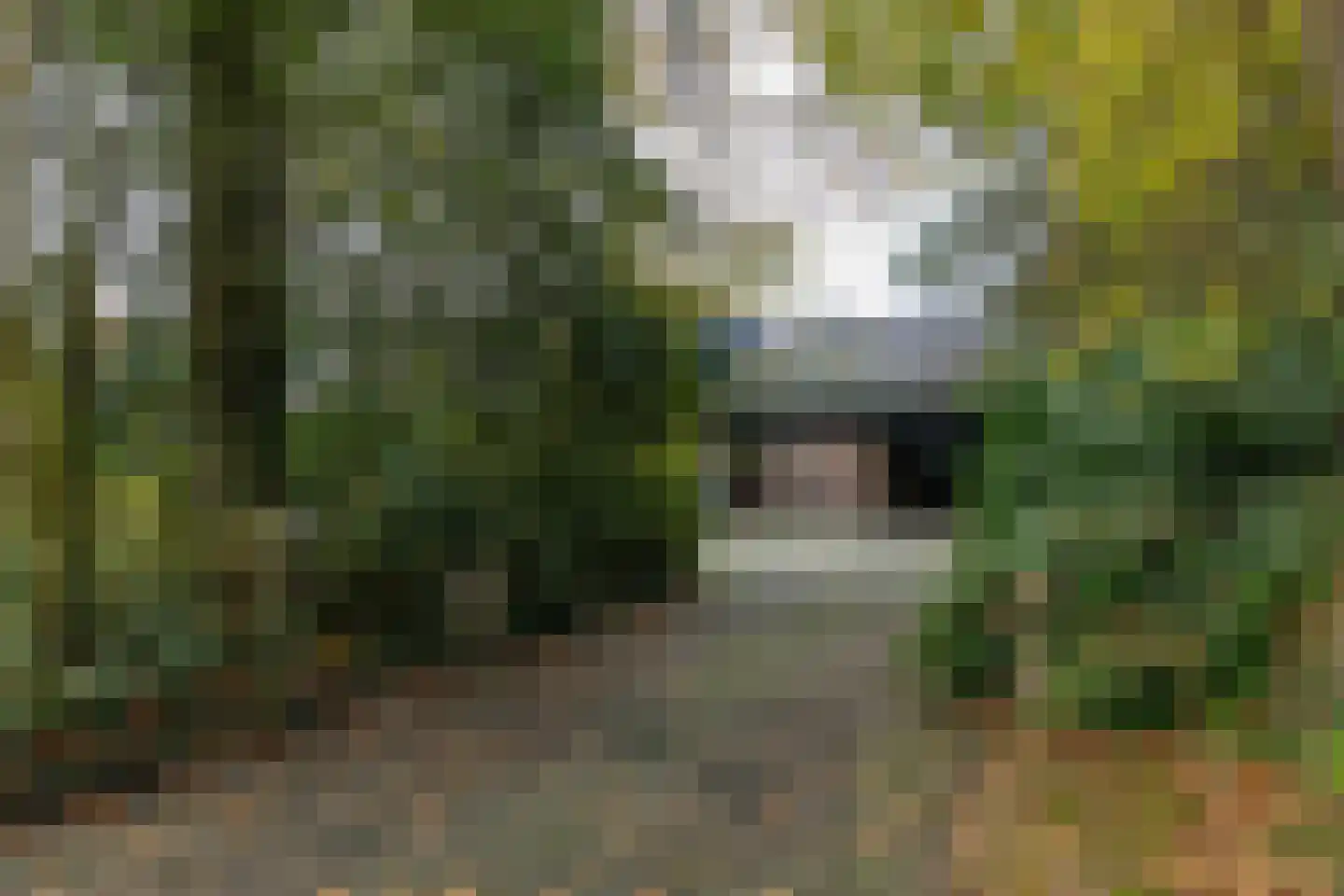 Taarloseweg 2 Vries thumbnail 37