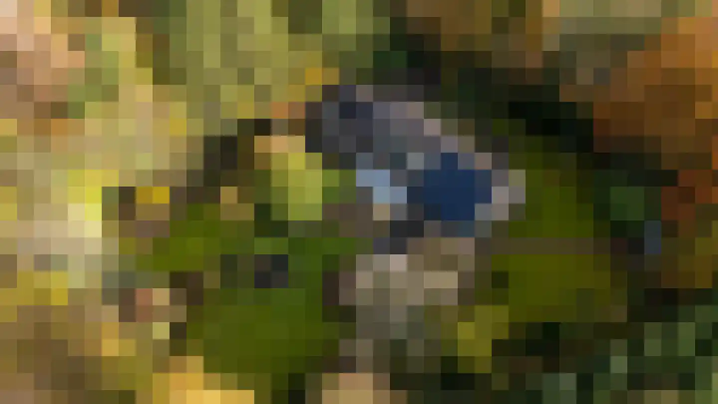 Taarloseweg 2 Vries thumbnail 4