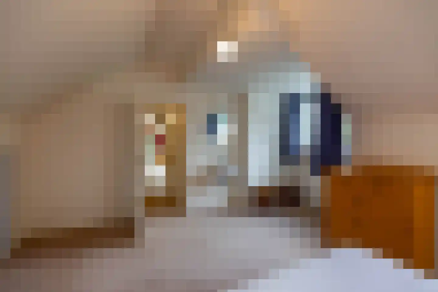 Taarloseweg 2 Vries thumbnail 46