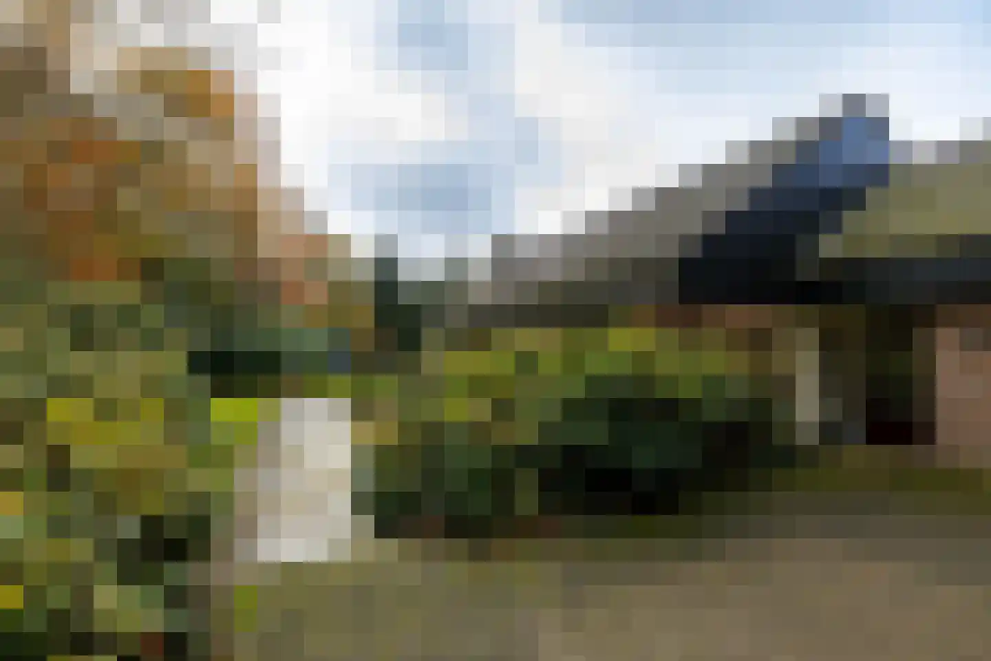 Taarloseweg 2 Vries thumbnail 5