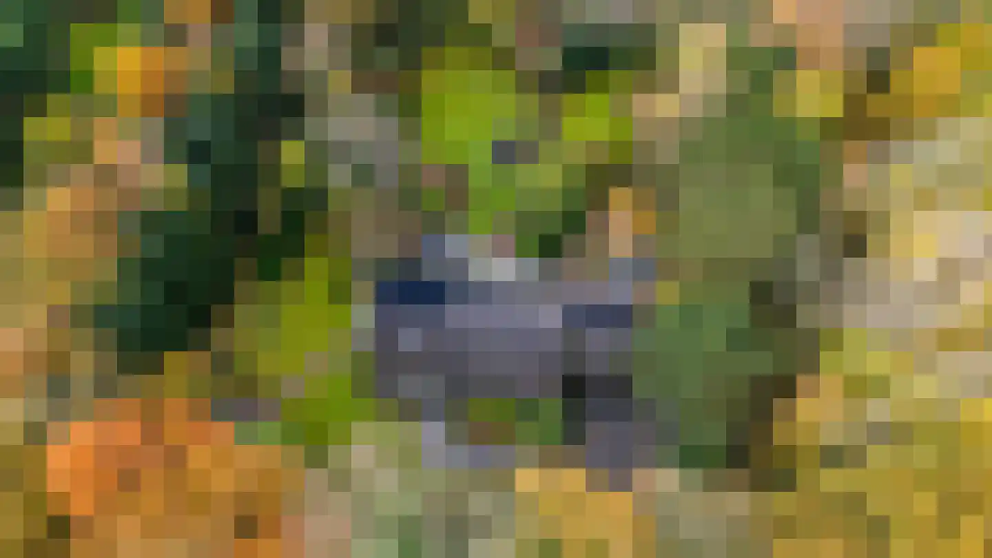 Taarloseweg 2 Vries thumbnail 51