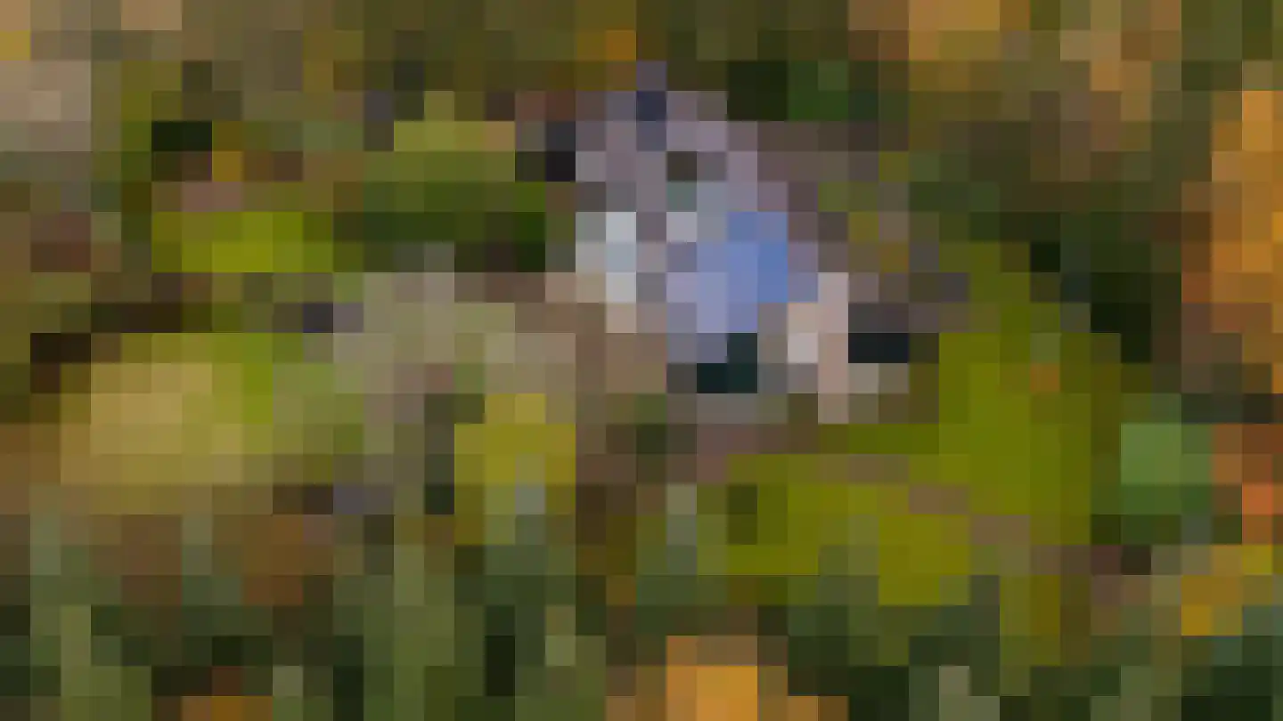 Taarloseweg 2 Vries thumbnail 52