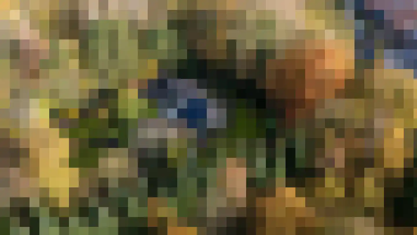Taarloseweg 2 Vries thumbnail 53