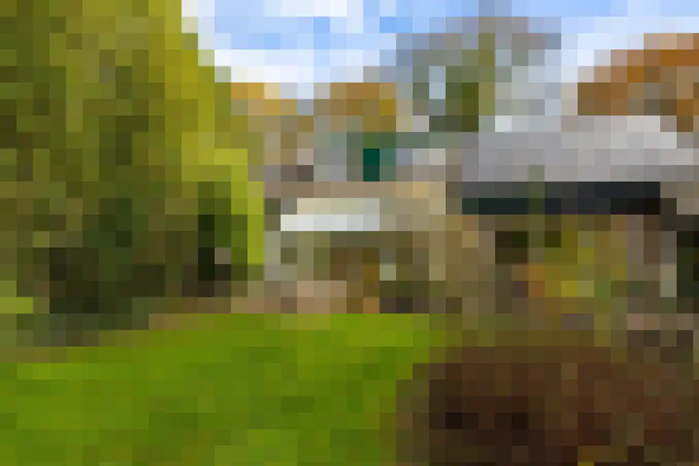 Taarloseweg 2 Vries thumbnail 56