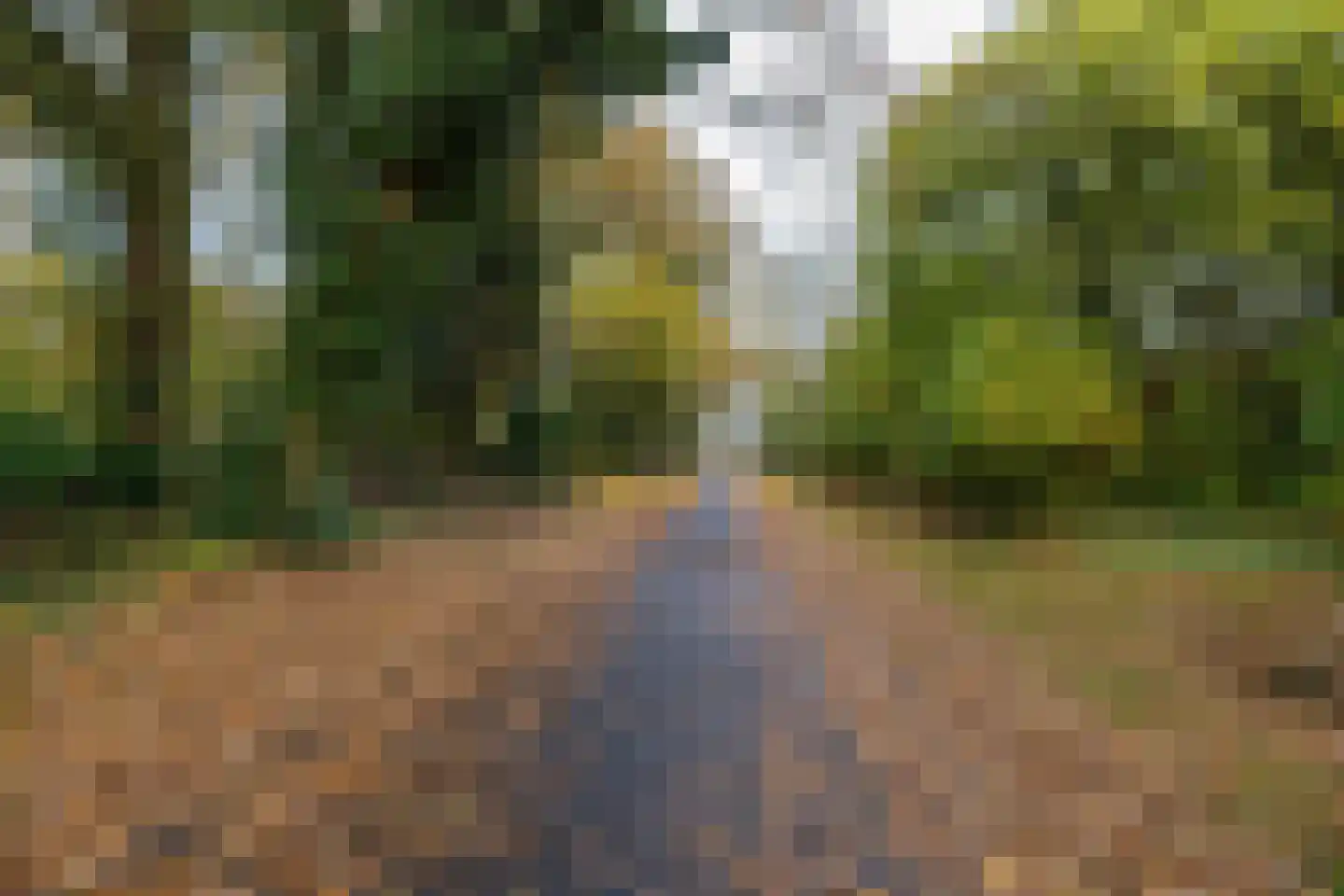 Taarloseweg 2 Vries thumbnail 58