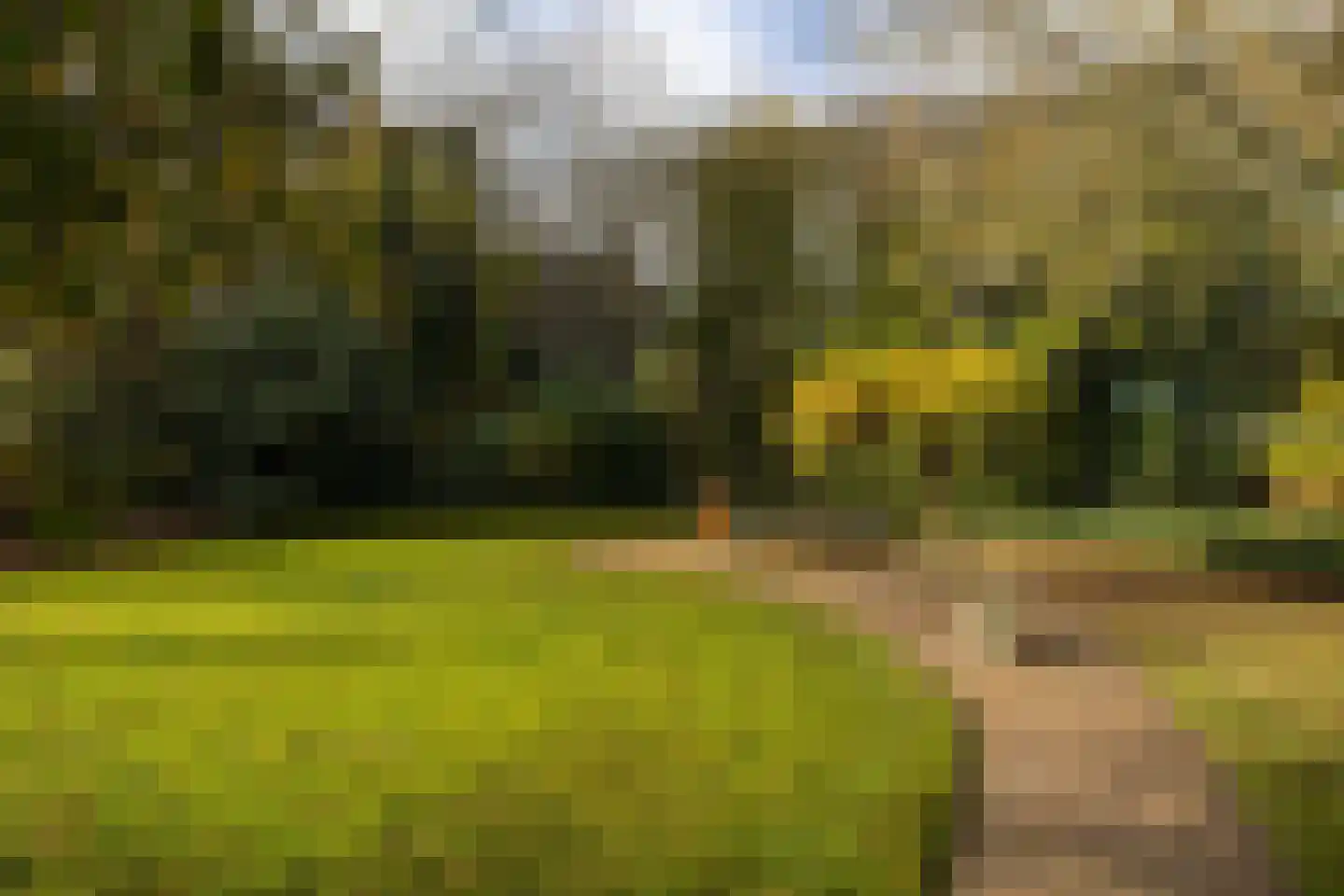 Taarloseweg 2 Vries thumbnail 59