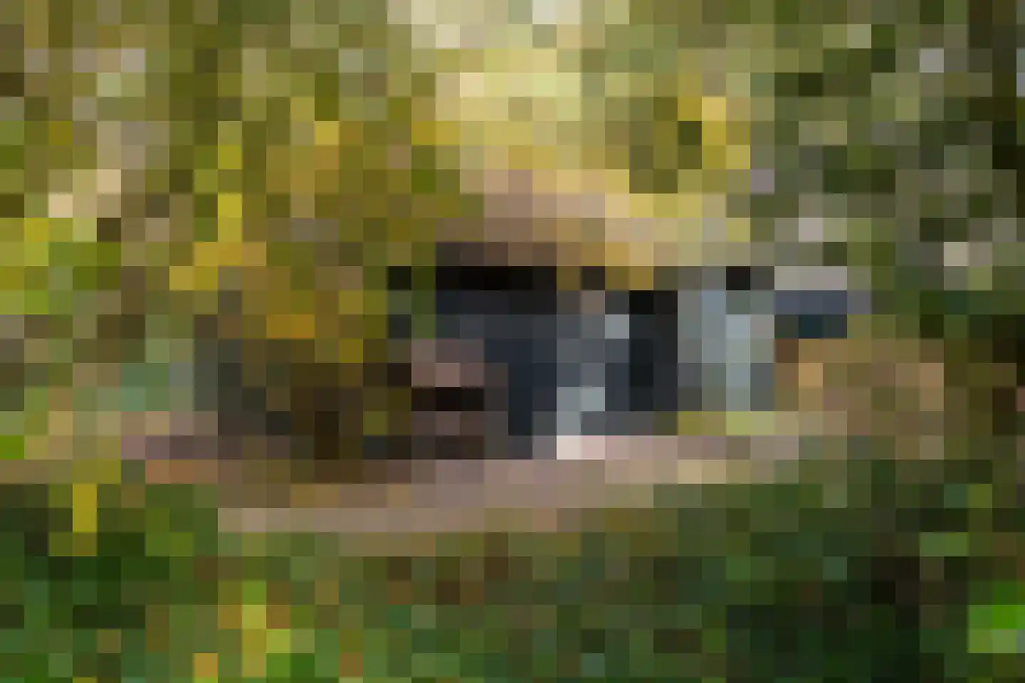 Taarloseweg 2 Vries thumbnail 60