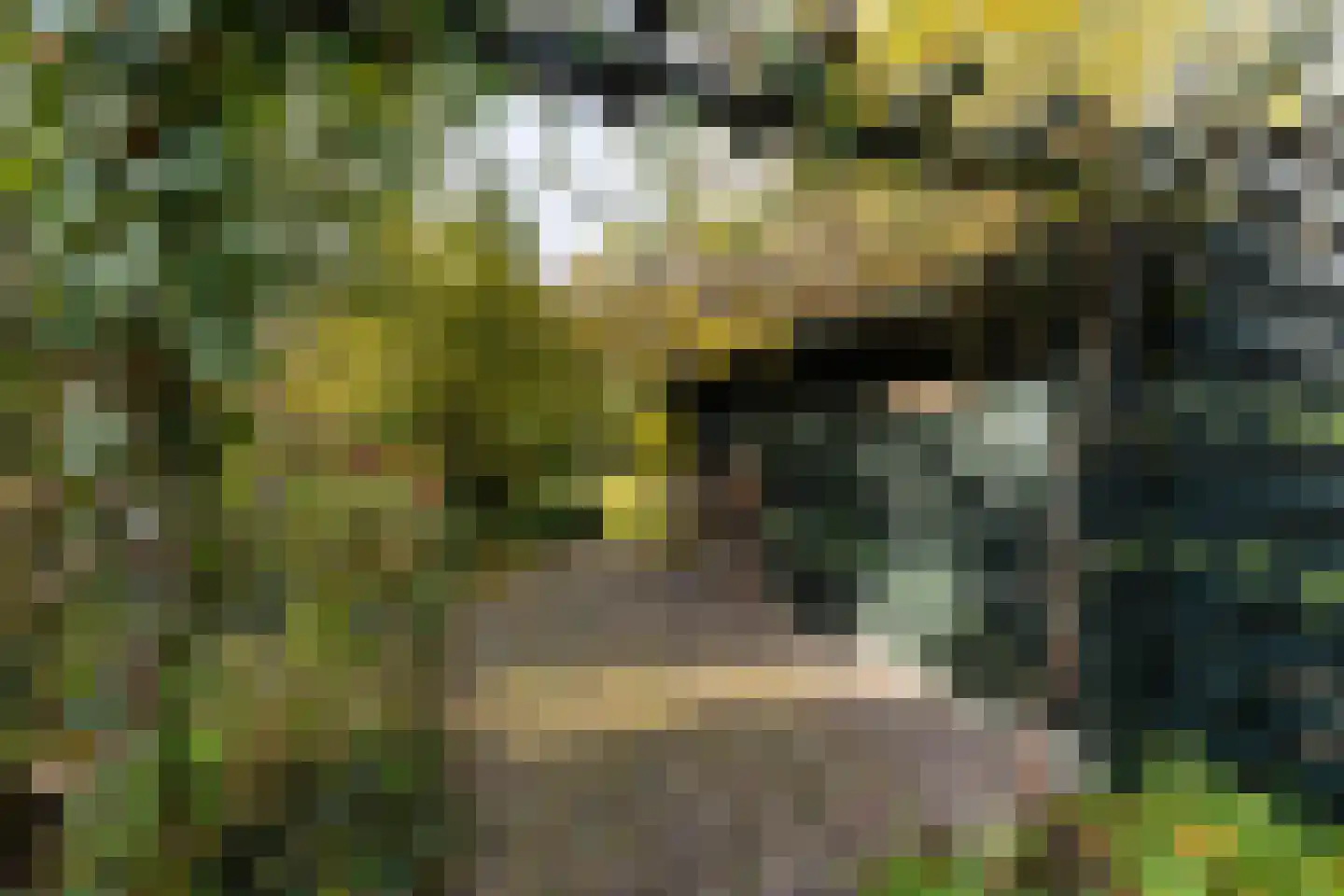 Taarloseweg 2 Vries thumbnail 61