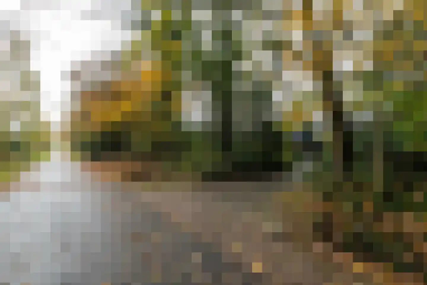 Taarloseweg 2 Vries thumbnail 63