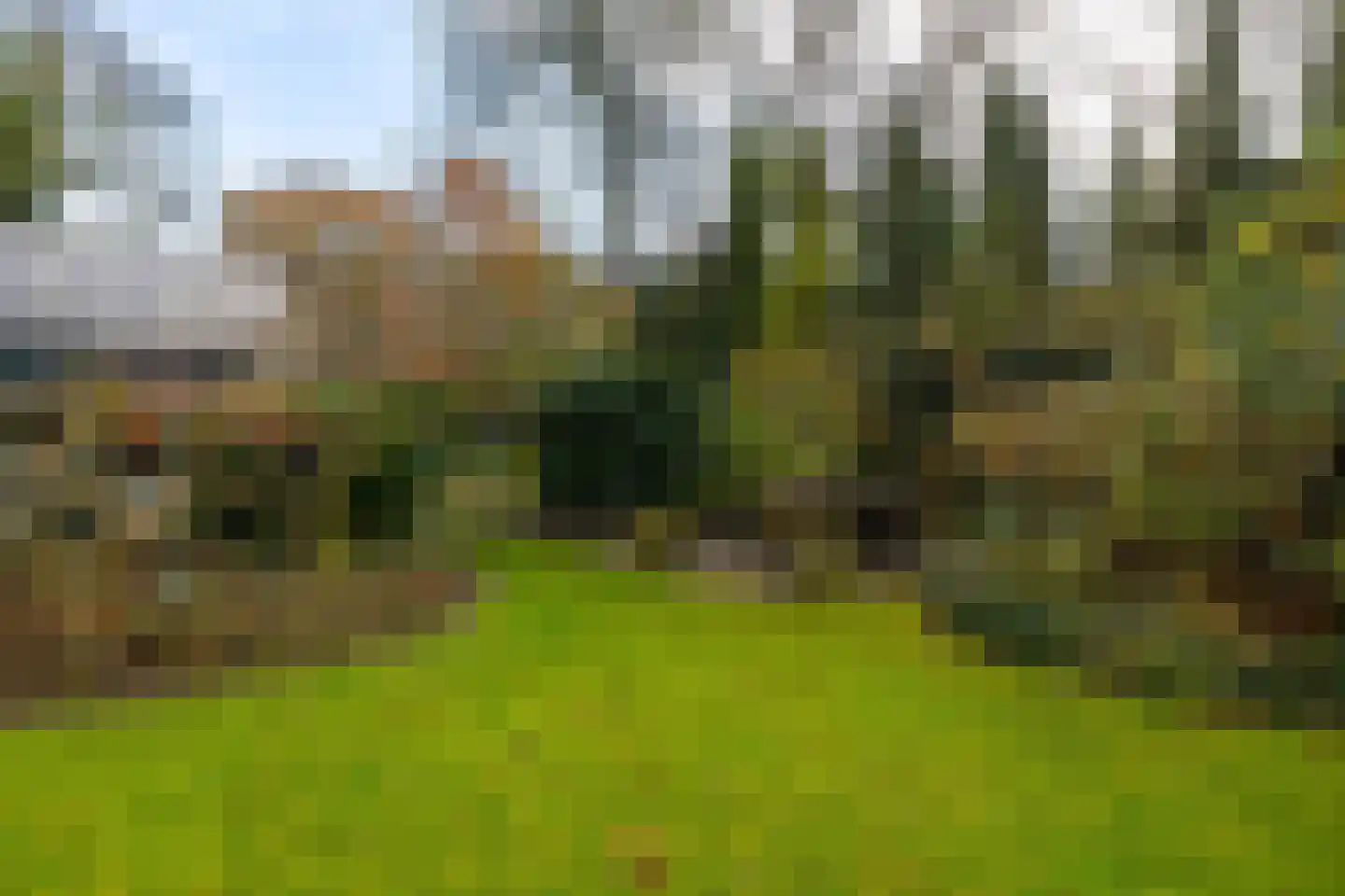 Taarloseweg 2 Vries thumbnail 64