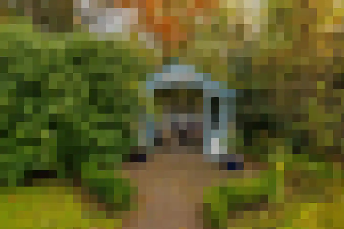 Taarloseweg 2 Vries thumbnail 65