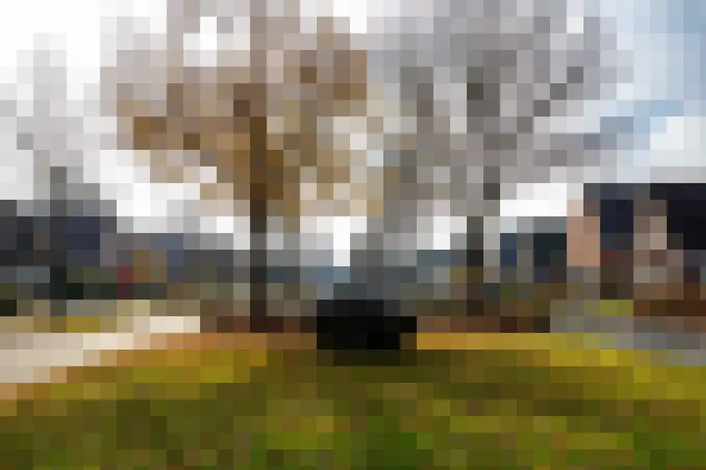 Taarloseweg 2 Vries thumbnail 68
