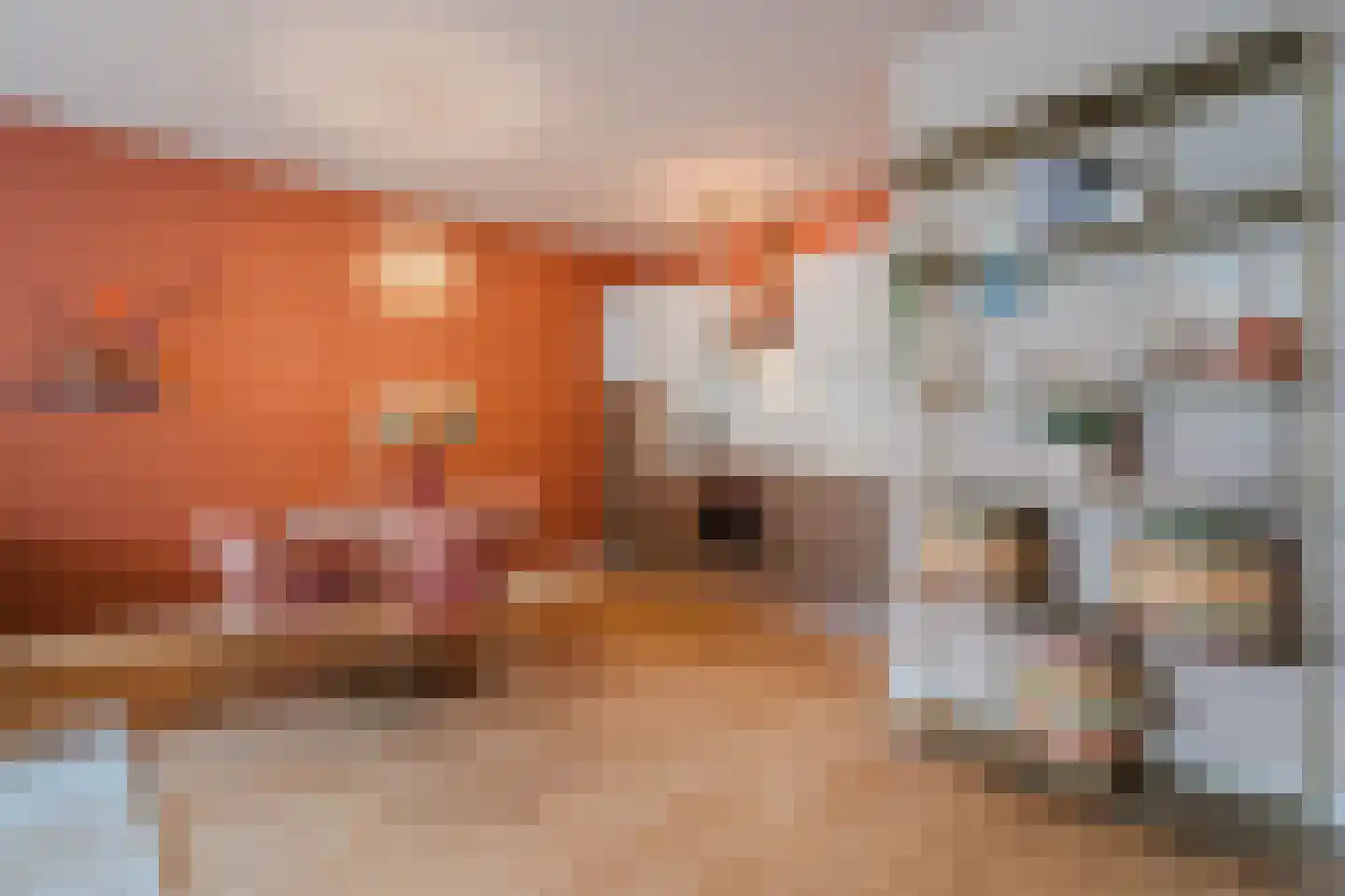 Taatedam 34 Katwijk thumbnail 29