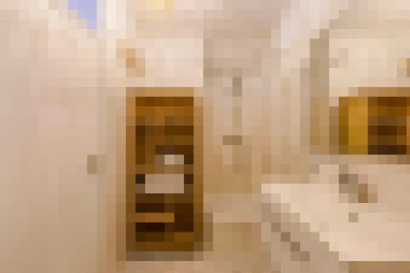 Taatedam 34 Katwijk thumbnail 33