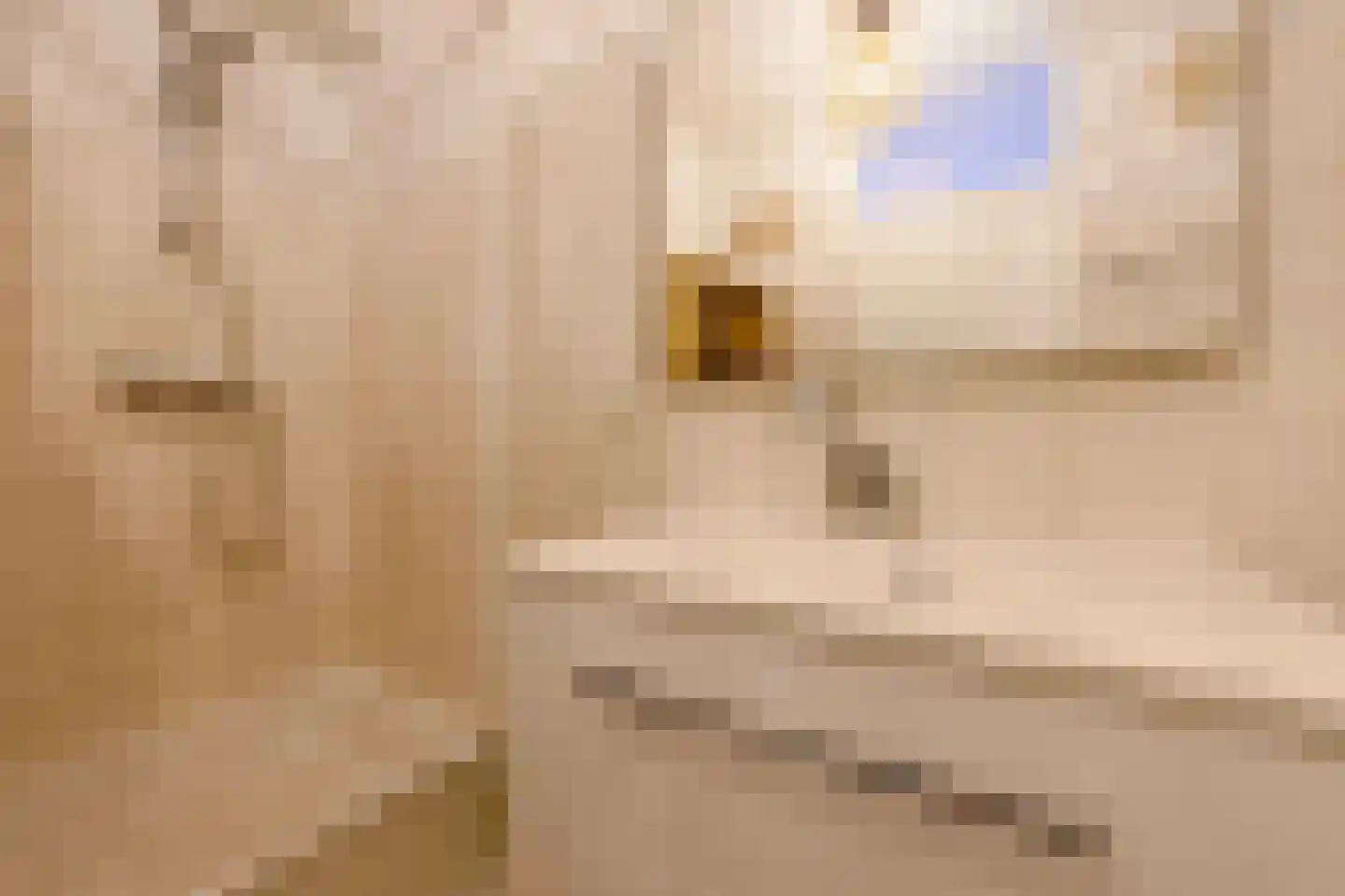 Taatedam 34 Katwijk thumbnail 34
