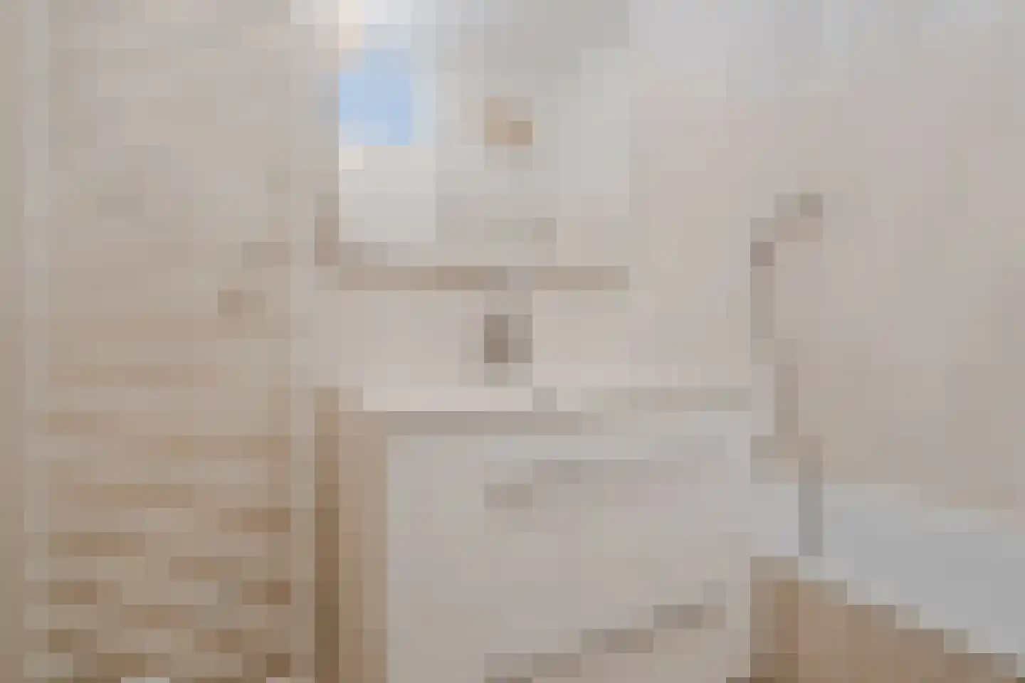 Taatedam 34 Katwijk thumbnail 45